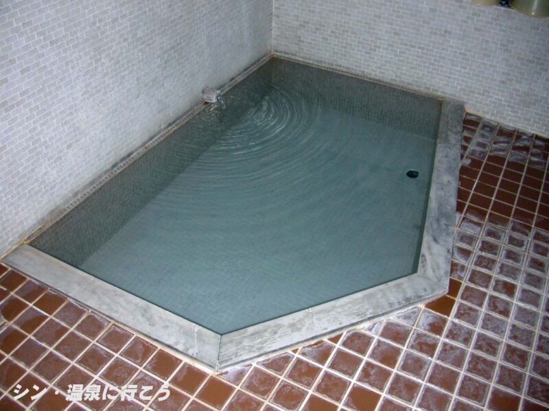 浅間温泉　椿之湯旅館　浴室