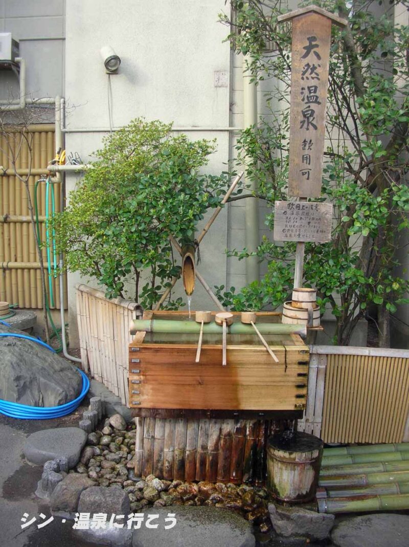 飯田城温泉　三宜亭本館　飲泉場