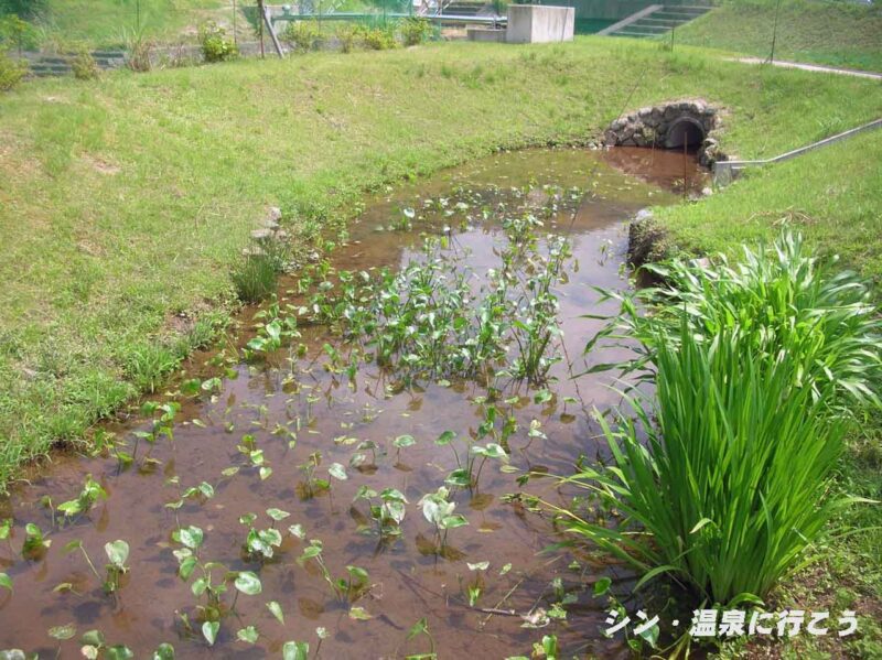 出石温泉　出石温泉館 乙女の湯　メダカ公園