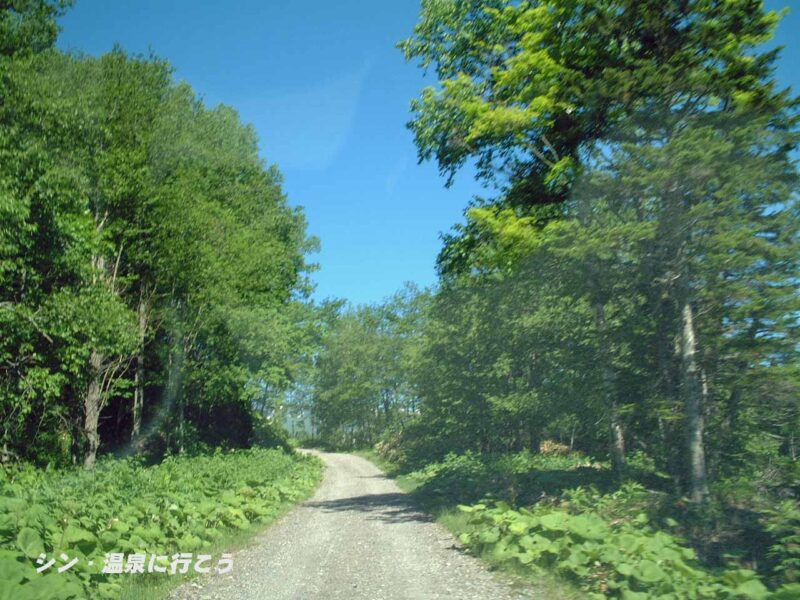 岩間温泉　林道