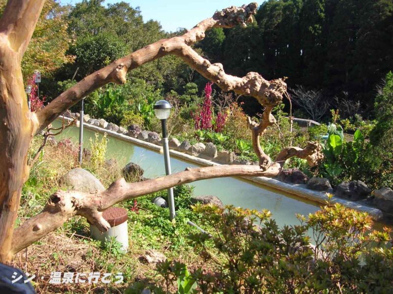 サンヨーフラワー温泉　歩行湯