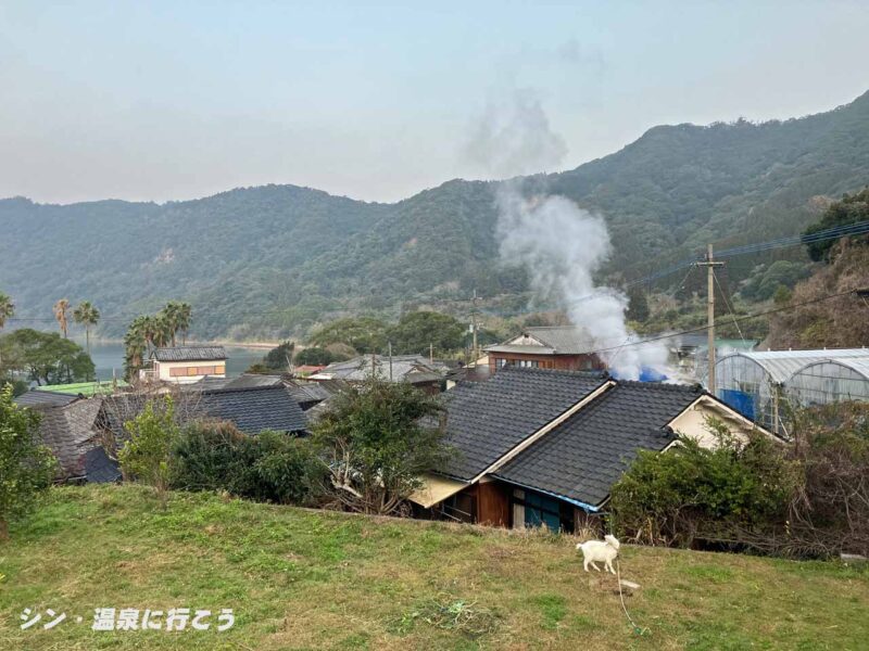 鰻温泉　鰻池と湯けむりとヤギ