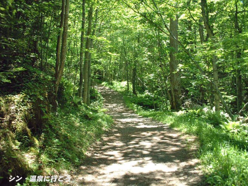 オンネトー湯の滝までの遊歩道