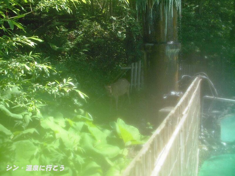 オソウシ温泉　鹿乃湯荘　噴泉塔と鹿