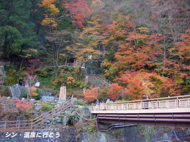 梅ヶ島温泉　おゆのふるさと