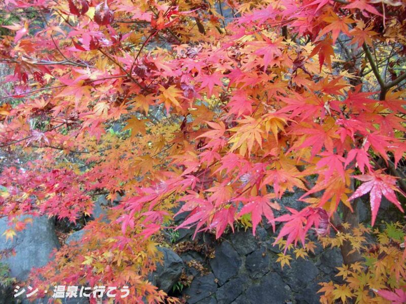 梅ヶ島温泉　おゆのふるさと　もみじ