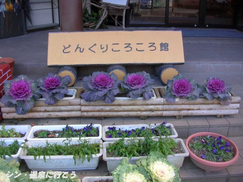 かさがた温泉　ころころの湯　看板