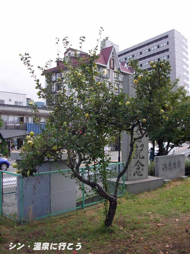 上諏訪温泉　湖畔公園　かりん