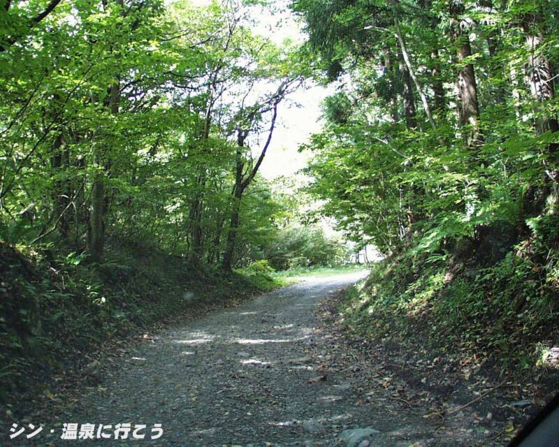 夏瀬温泉　アクセス路