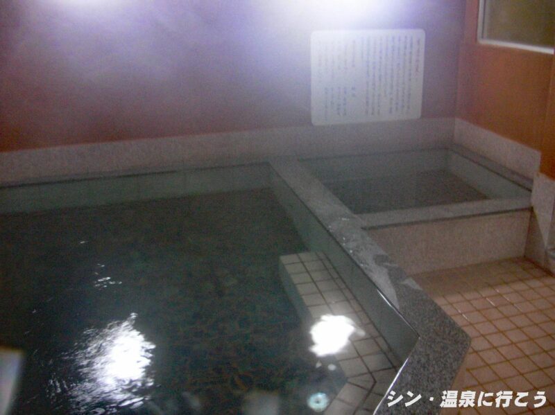 下部温泉　元湯甲陽館　浴室