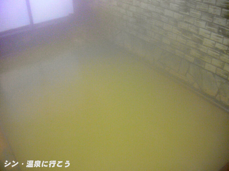 三瓶温泉　志学薬師 鶴の湯　浴槽