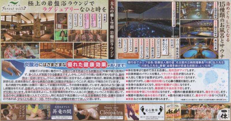 竜泉寺温泉 竜泉寺の湯 リーフレット3