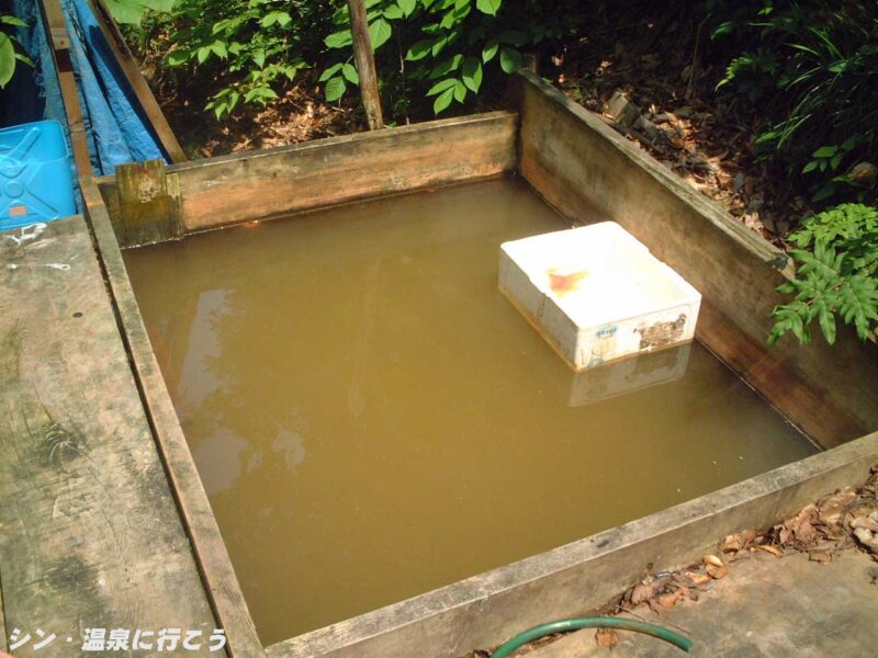 林道近くの野湯