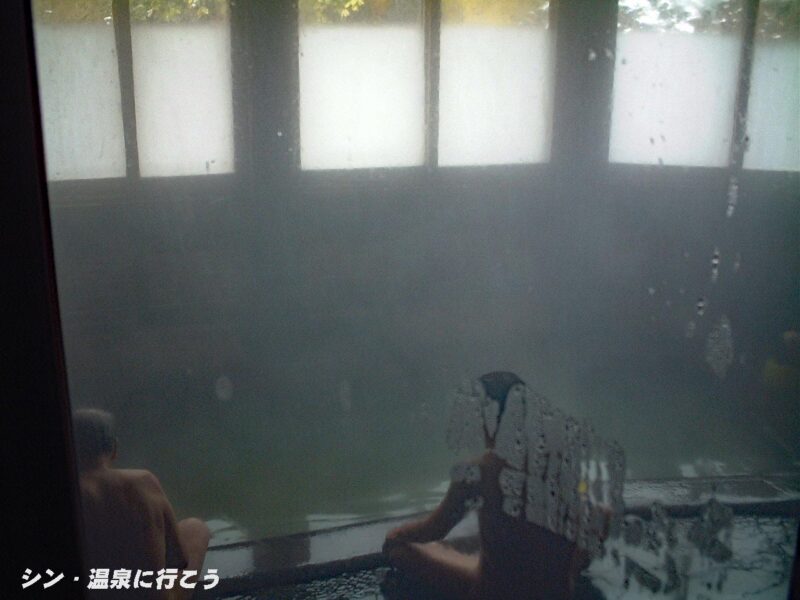 でわの湯温泉 湯の沢山荘 浴室