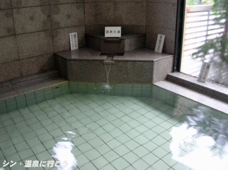 蔦木温泉 つたの湯 主浴槽