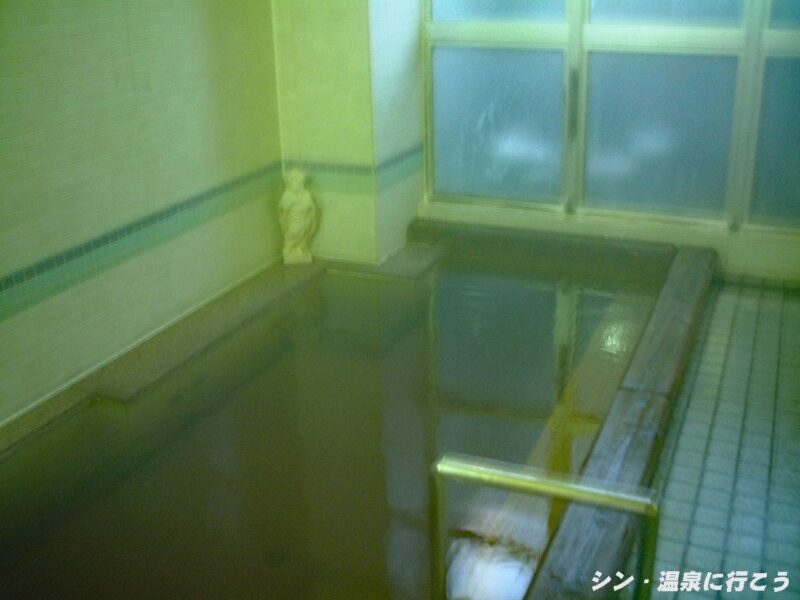 たぬきの里温泉　主浴槽