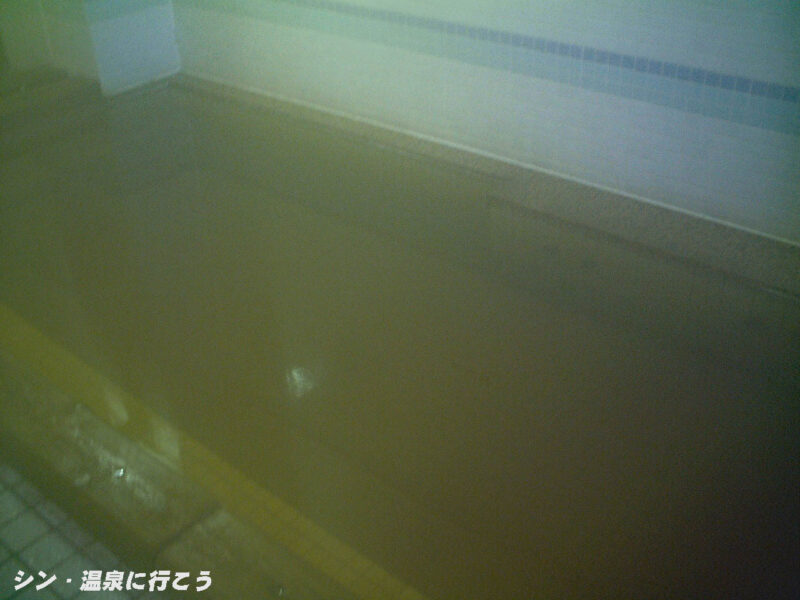 たぬきの里温泉　主浴槽