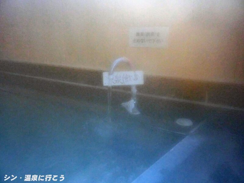 昼神温泉　飯伊森林組合 昼神荘　源泉