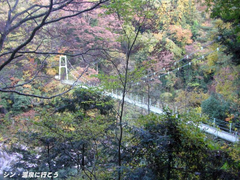 天龍峡　つつじ橋