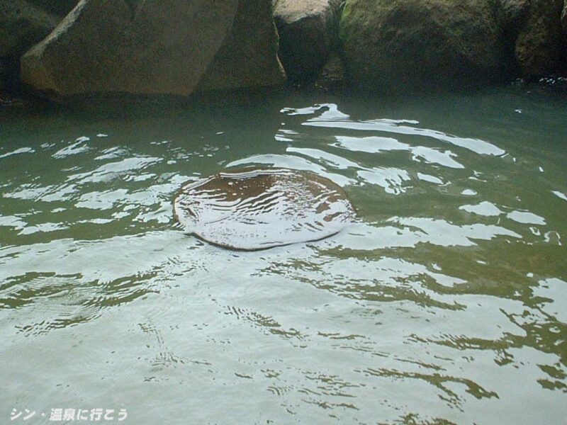 流山温泉　露天風呂の丸太スライス