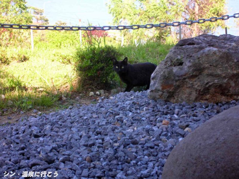 洞爺村温泉　ホテル洞爺サンシャイン　露天風呂の黒猫