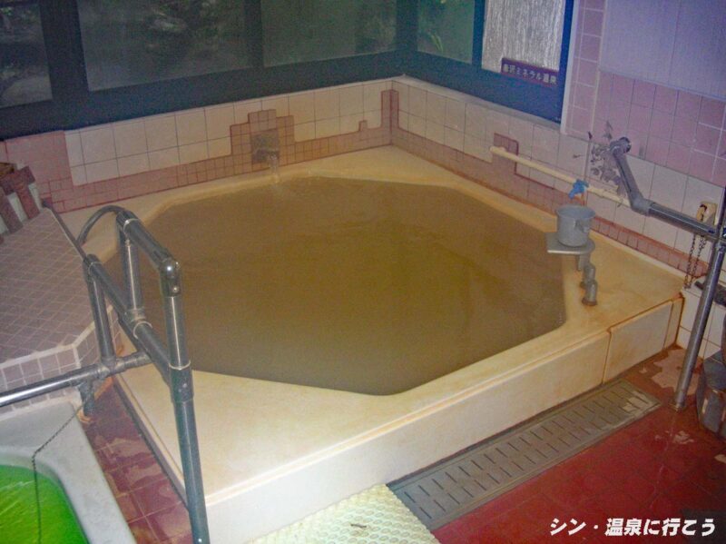 毒沢鉱泉 宮乃湯旅館 洋風浴室 主浴槽