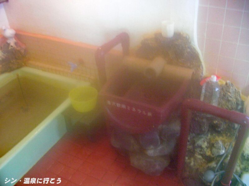 毒沢鉱泉 宮乃湯旅館 洋風浴室 源泉浴槽と飲泉場