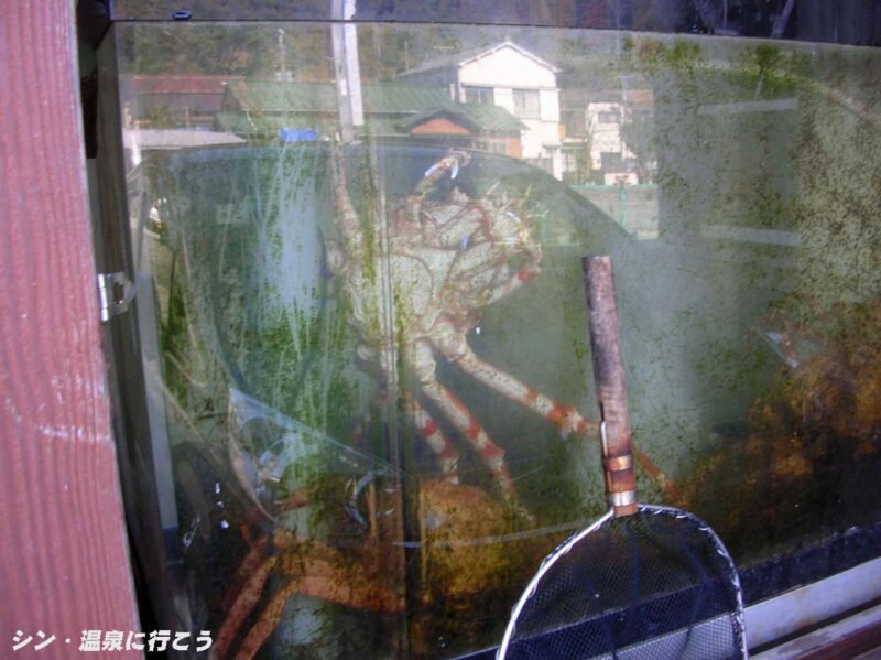 土肥温泉　御食事処さくら　タカアシガニ