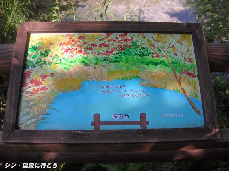 谷地温泉 温泉の湧く池の説明画
