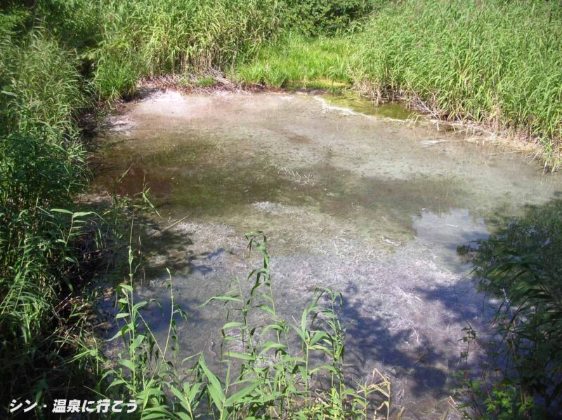谷地温泉 温泉の湧く池
