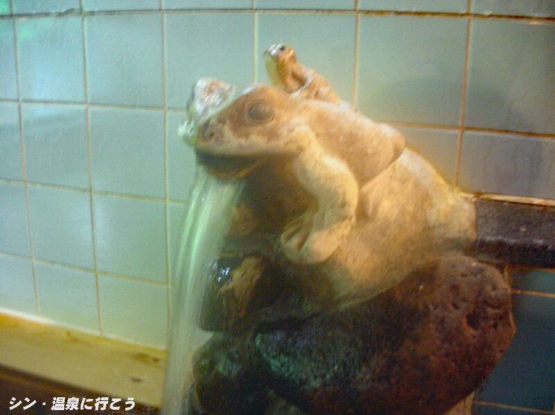 湯野川温泉 濃々園 カエルの湯口