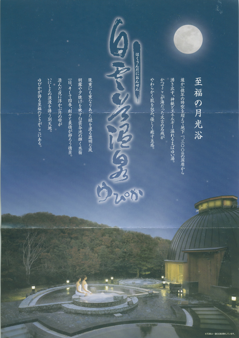 白雲谷温泉 ゆぴか フライヤー3
